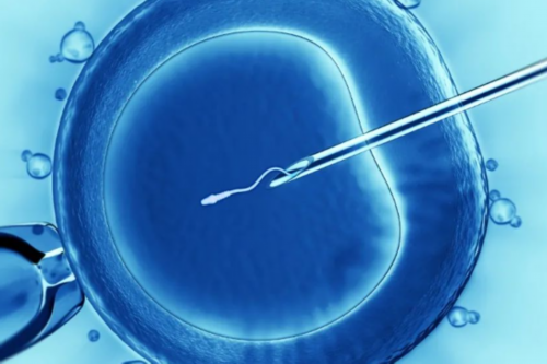 代怀试管:人工流产后多久会怀孕（流产后饮食）