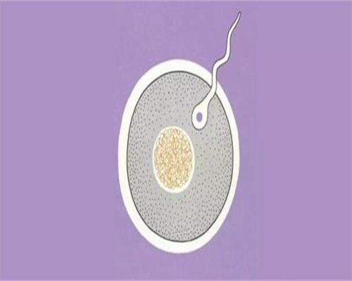 南宁三代试管婴儿费用和成功率解析