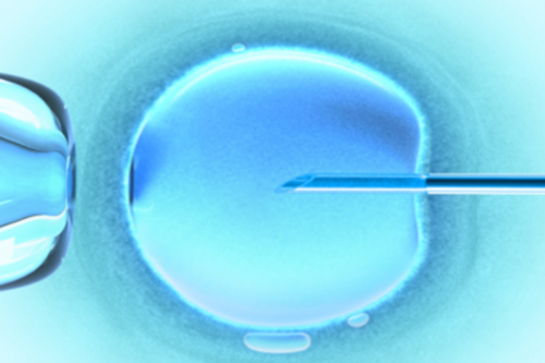 做代生公司正规吗囊胚培育更简单吗？做代生公司正规吗囊胚有优点吗？