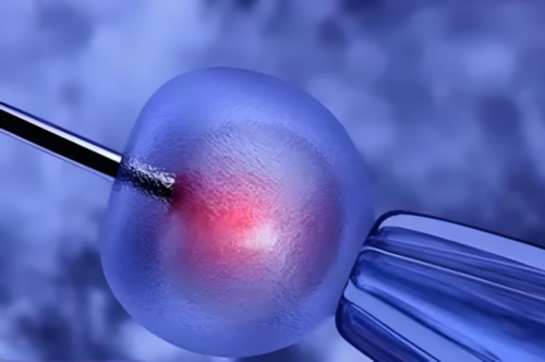 
              女性做供卵代生宝宝包成功助孕失败的原因是精子质量问题吗？
 