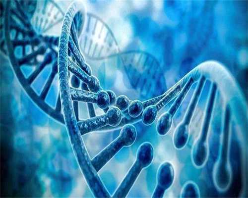 从贵阳去泰国做代生咨询服务费用参考(去泰国代生咨询服务流程)