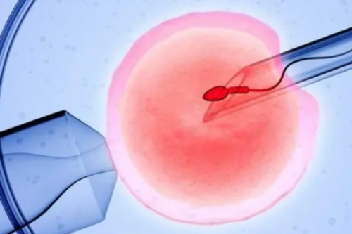 南宁代生宝价格-正规借卵试管婴儿,南宁做三代试管成功率最高的医院在哪里