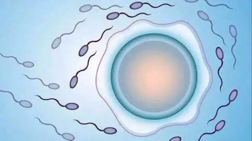 子宫小可以做有代生机构不吗？幼稚子宫做有代生机构不成功率多少？