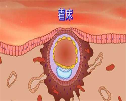 南宁的哪些医院能做试管-南宁市哪个医院做试管成功率高！