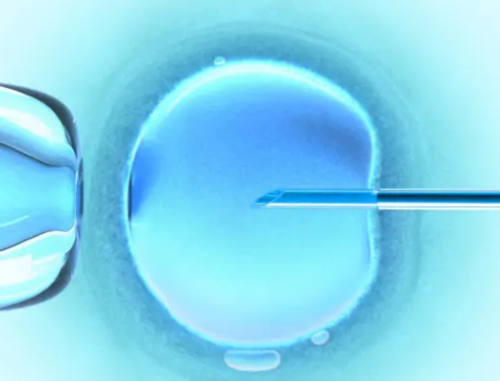 南宁靠谱代怀电话，最新南宁代生价格,南宁正规医院人工受孕做一次大约多少