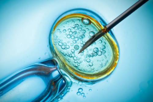 南宁可以做三代试管的医院真实成功率_南宁哪家医院可以做三代试管！