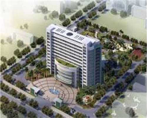 河北代生价格行情胚胎等级的定义和分类！河北代生价格行情胚胎等级等级越高