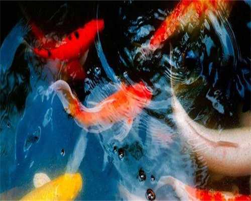 国内最好的三代试管婴儿医院排名