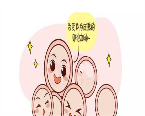 代生男孩中介:胎儿在四十周的发育情况