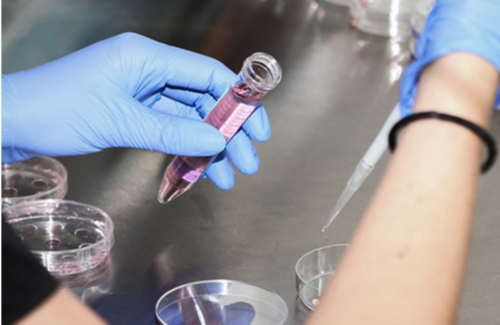 南宁正规试管医院Top10排行，三助孕机构排名出炉