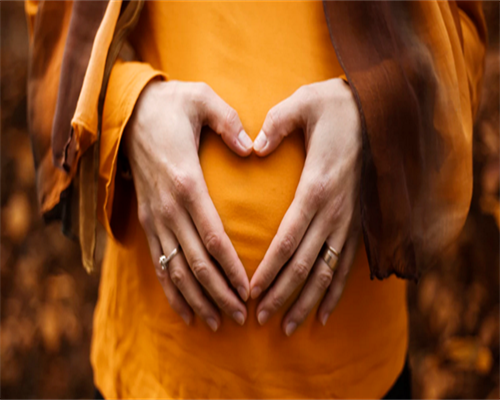 试管借卵费用多少中的4bb囊胚是一级胚胎还是二级胚胎？