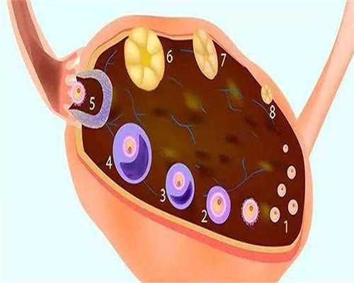 代怀包办出生证明_代生全包多少,怀孕期间(*女孩有哪些明显症状)