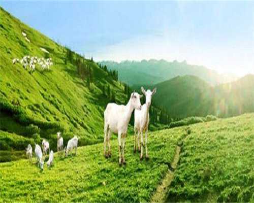 代妈长春助孕+哪里做代孕最权威,为什么跳绳有助于移植成功 跳绳有助于胚胎着