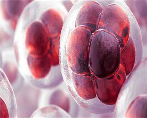 代生包成功套餐_包男孩包成功,畸形精子类别多，简述不同形态的精子对怀孕的