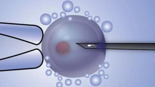 女性卵巢功能什么年龄开始下降？怎么增强女性卵巢功能？