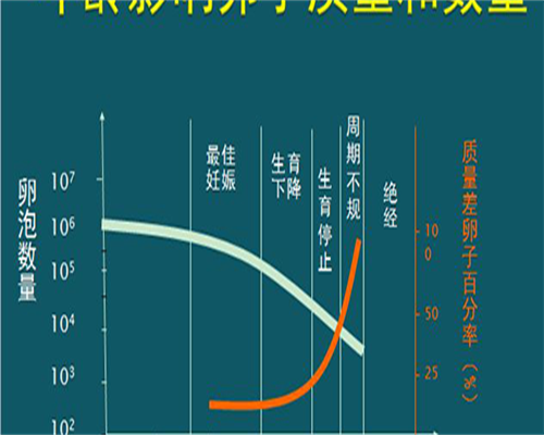 怀孕期间同房注意事项