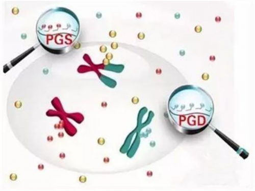 二代代生的费用是多少补救时间要知道！附费用支出明细！