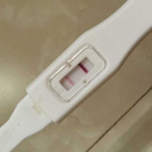 试管胎停胚胎送检费用多少 试管胎停需要检查什么