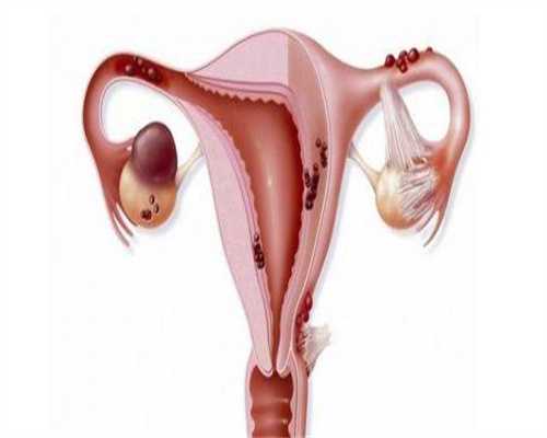 济南三代试管私立医院排行榜前五?济南三代试管成功率有多高?