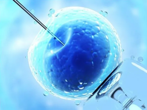 助孕生殖公司:泰国试管技术之冷冻胚胎保存的优势体现在哪里？