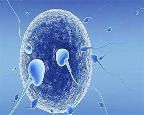 三代代生双胞胎靠谱吗冻胚移植前为什么要抽血看雌二醇数值高低？