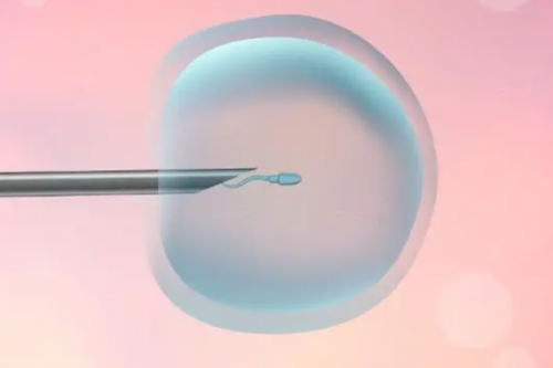 泰国试管婴儿大全_做代孕哪里专业,试管婴儿怎么获取胚胎？试管胚胎如何着床