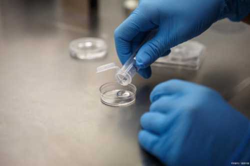 试管婴儿取卵少的原因