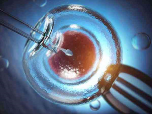 南宁正规助孕公司都有哪些(南宁助产士招聘最新消息)