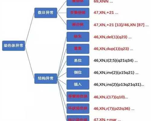 南宁供卵移植,南宁招聘助孕,南宁做试管婴儿最厉害的医院哪些好(在南宁做试管