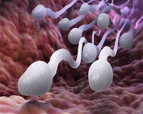 试管代生网:做试管要处理卵巢囊肿吗？