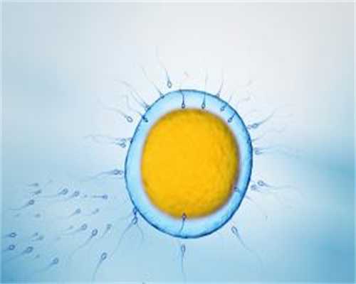 试管代生网:胎停育的症状