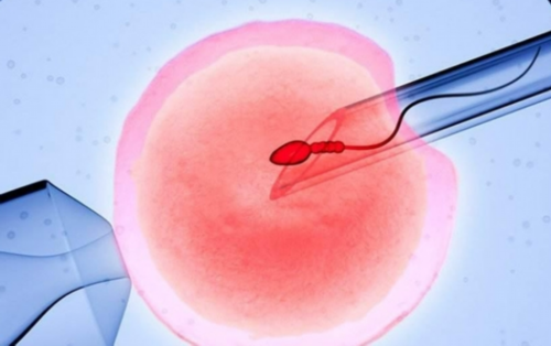 试管三代必要查无创吗_试管三代必要查无创吗多少钱