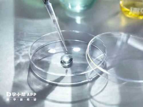 第三代哪里代生儿子促排期间要注意的事！新版价格介绍！