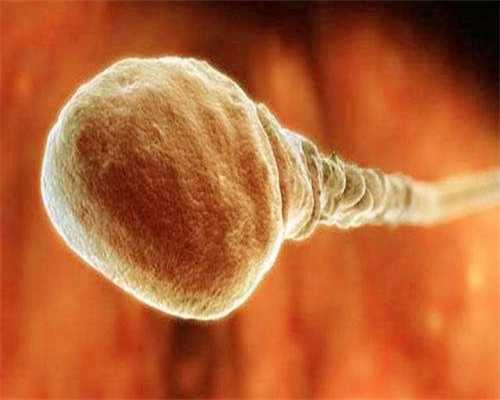 乙肝做试管孩子会传染吗