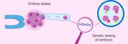 杭州2026年有哪些代生服务中心报销新政策(杭州代生服务中心成功率高吗)