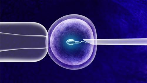 代孕供卵费用:强阳转弱后多久排卵，排卵试纸强阳后多久排卵