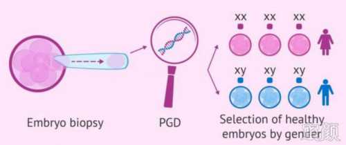 试管婴儿三代宝宝几率有多大！费用二十万够吗？
