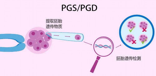 试管婴儿可以活多大岁数，试管婴儿能活多少岁