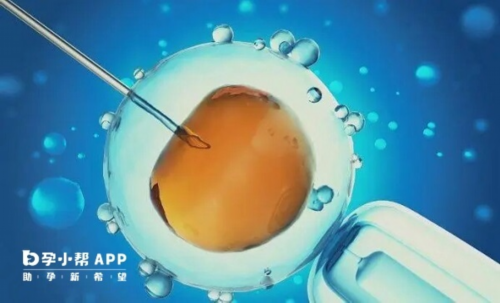 东峻国际包生男孩_包成功助孕网,清宫是否有助于怀孕？葡萄胎清宫后多久可以