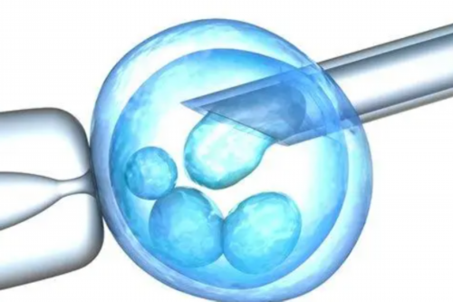 湖北代生的收费排名新代生的收费成功率及费用排行榜！附价格参考！