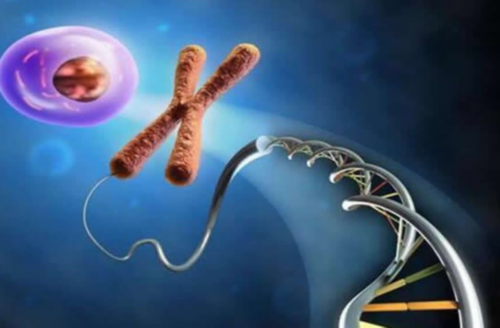 30万包生儿子_助孕包性别电话,纵膈子宫容易怀孕吗！什么多少钱！