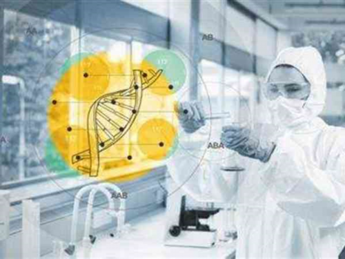 借卵湖南代生_试管代孕总费用,做试管促排后卵泡数量少，试管促排期间卵泡越