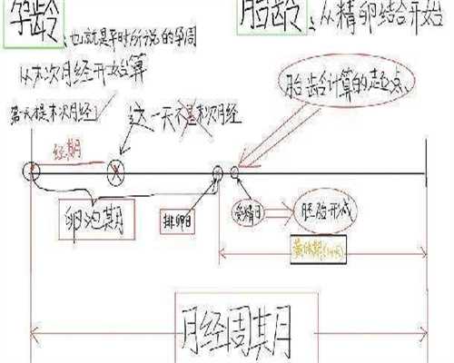 代生公司正规:“过期妊娠”风险多！多少钱一天！
